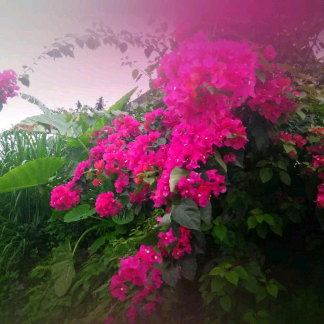 小小