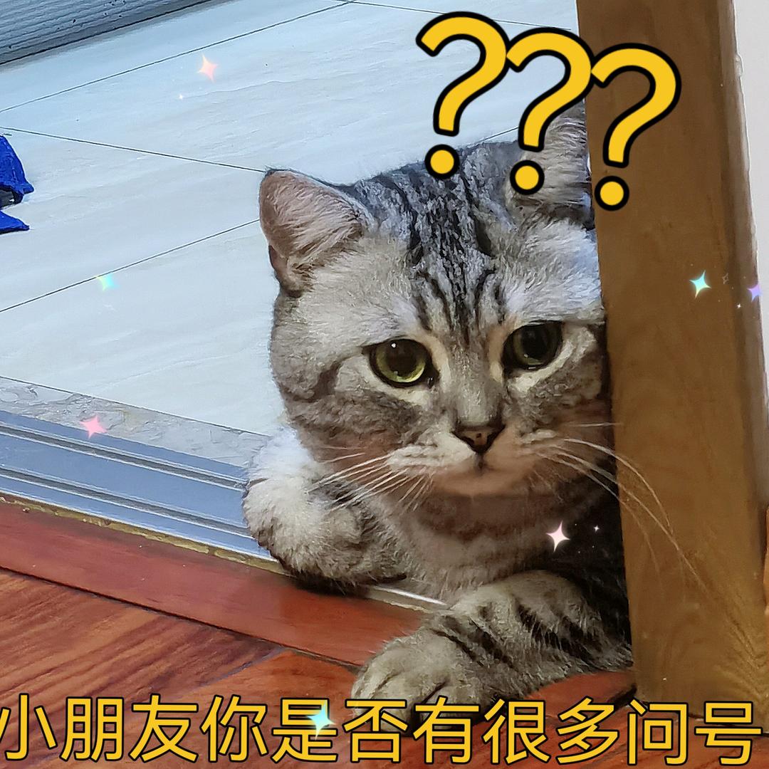 乌拉是猪不是老虎