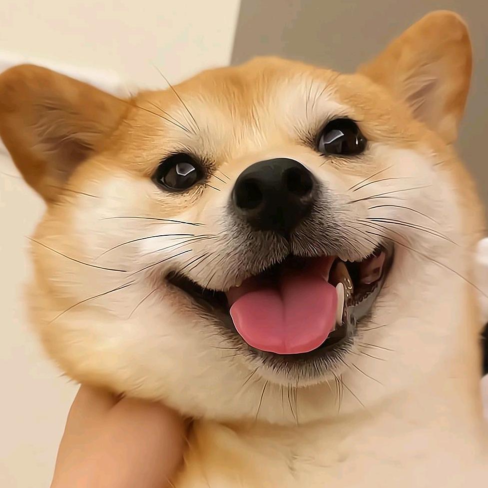 这世界很酷