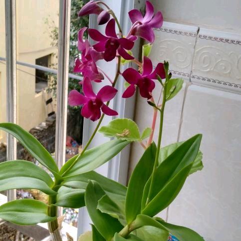 @冬去春来｡◕‿◕｡