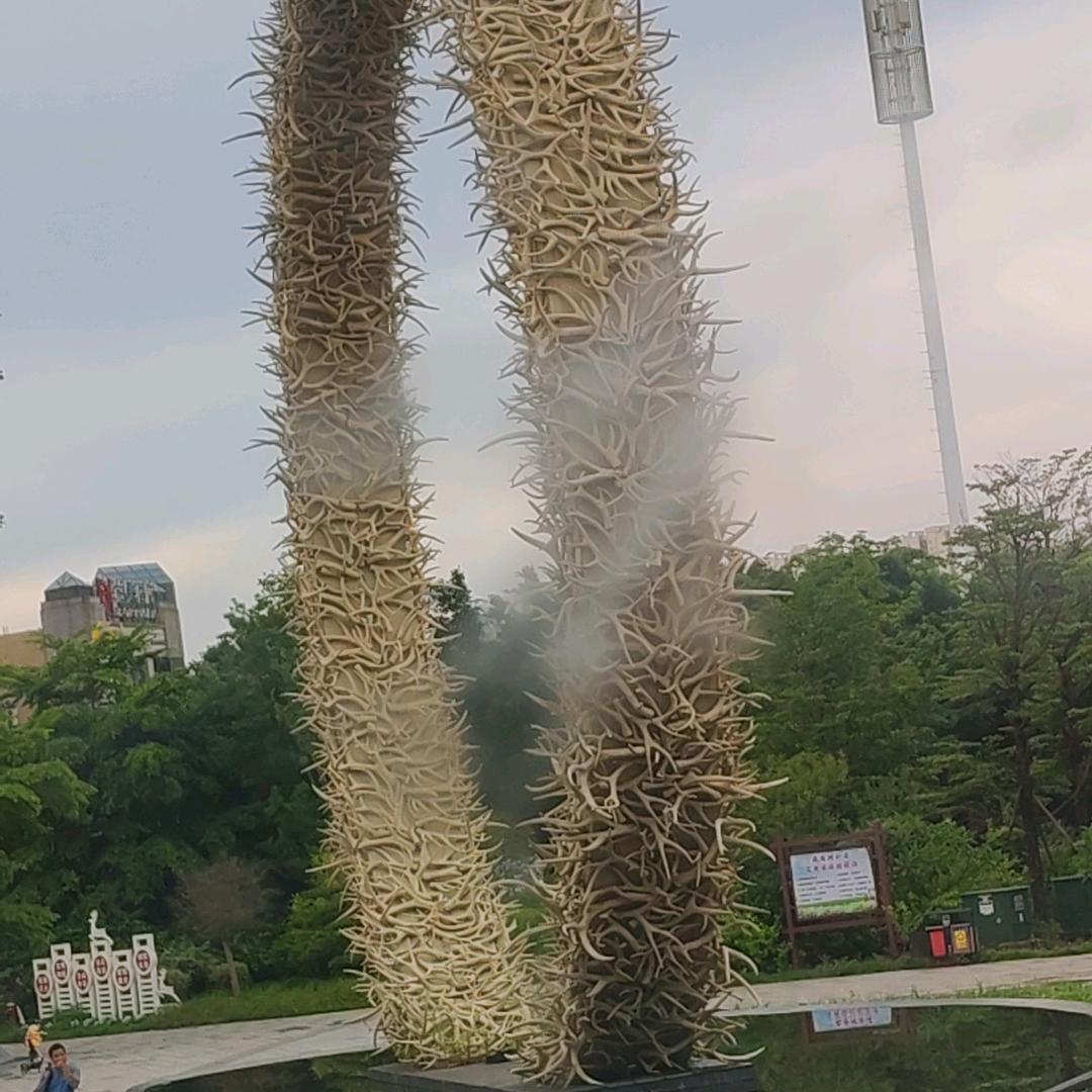 看好他