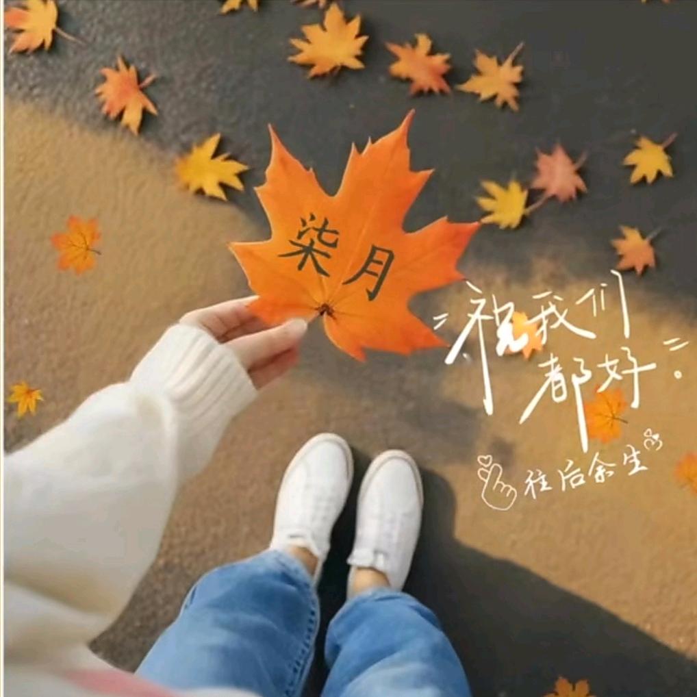 柒❤️月