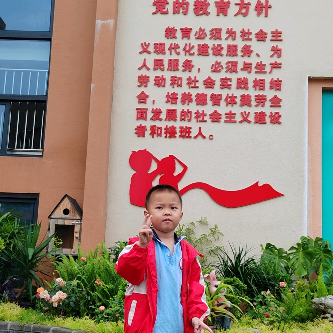 国强旅游行业
