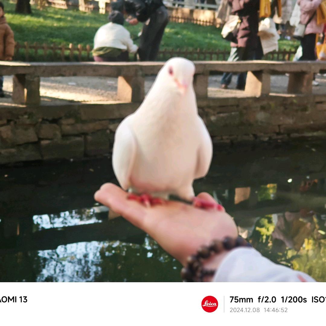 热爱生活爱自己
