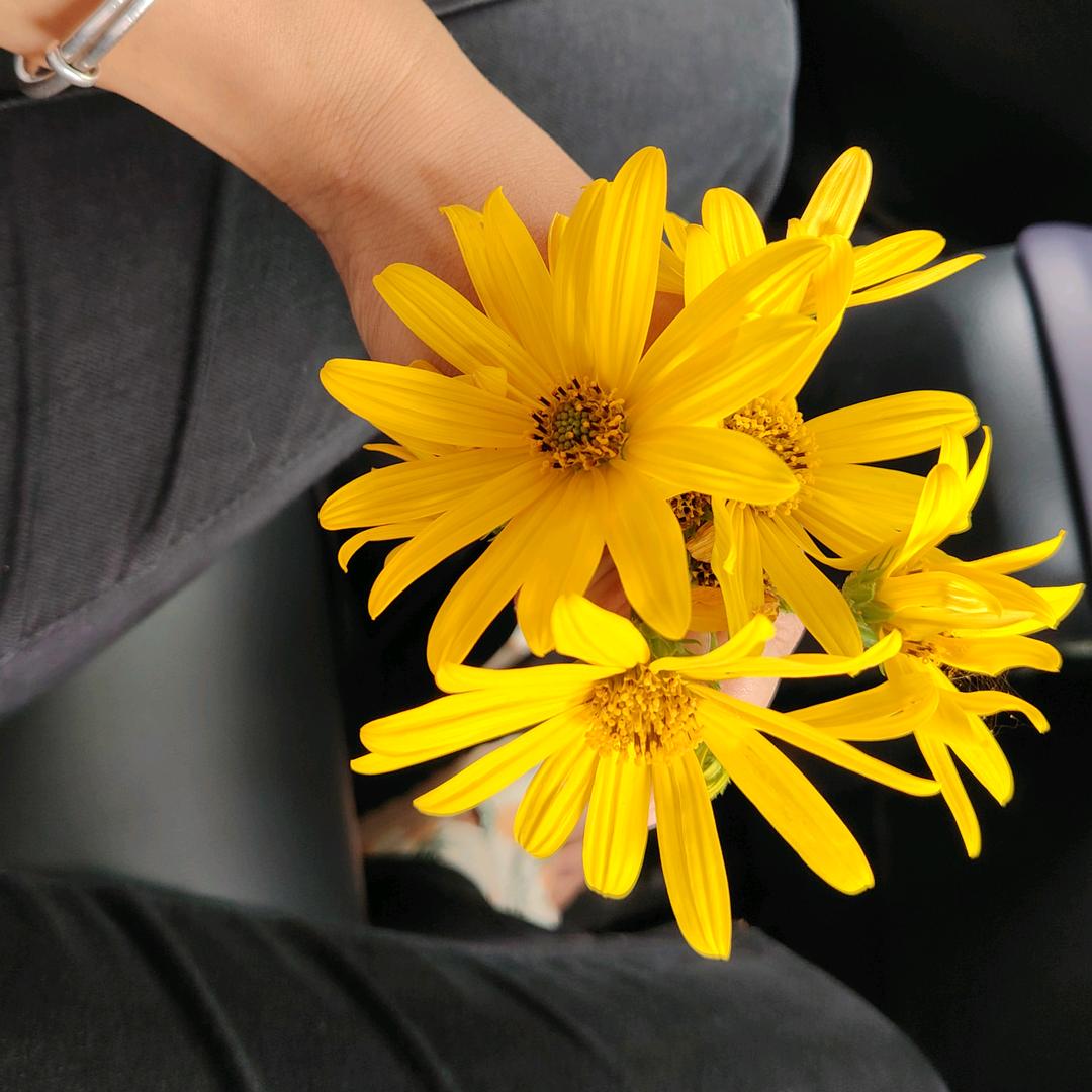 心软的女人容易受伤