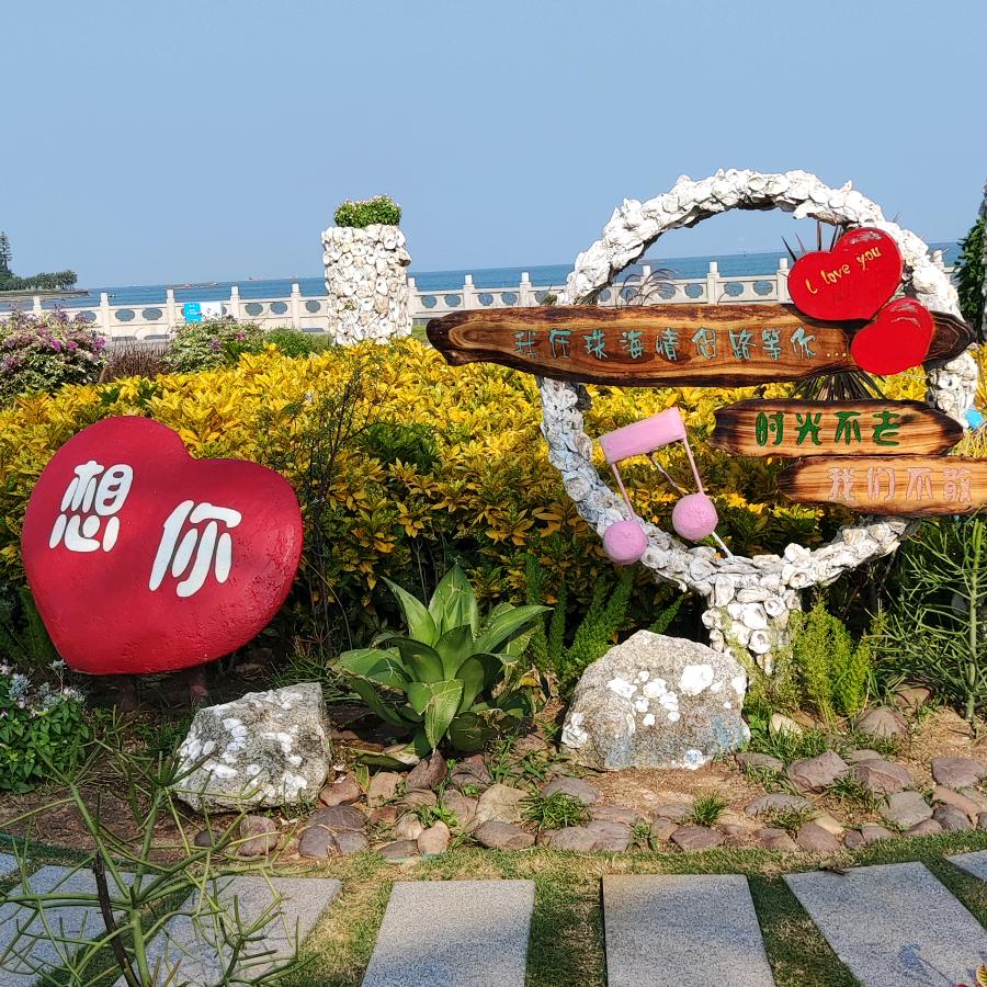 四叶草🍀🍀🍀