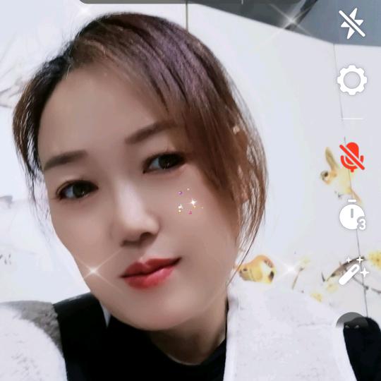 HYH岩中花树何玉花