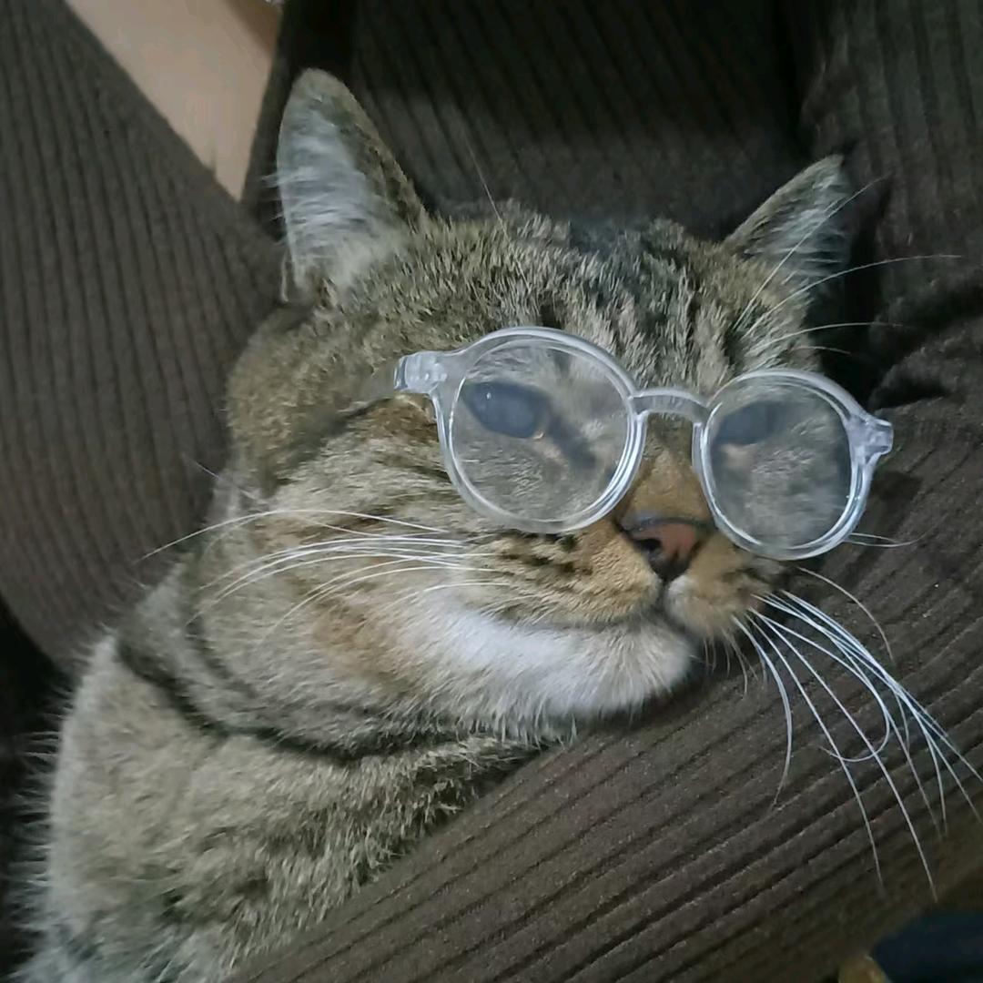 ້໌ᮨ  ້໌ᮨKoi  ້໌ᮨ