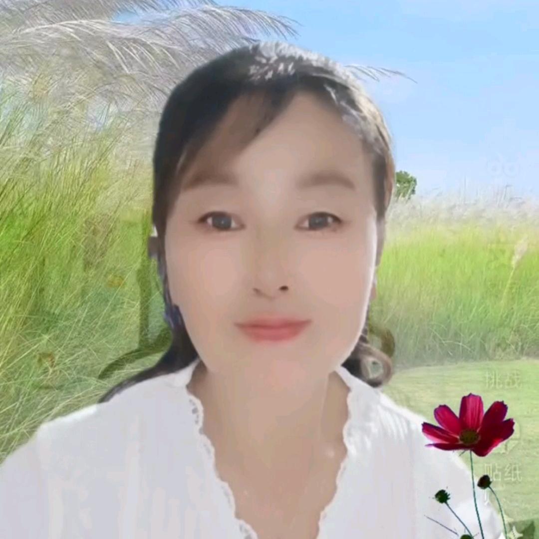 芬