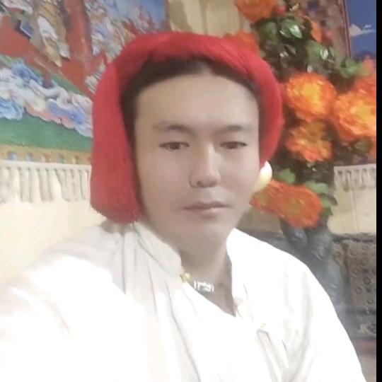 🐅🌺🌹🌸🌼🪷🌷🐆