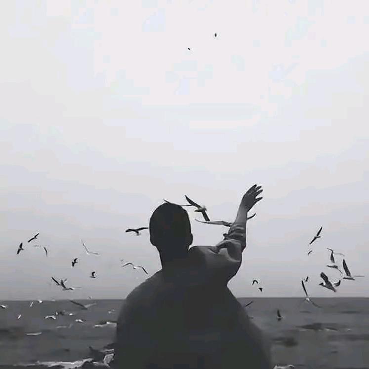 X.Y