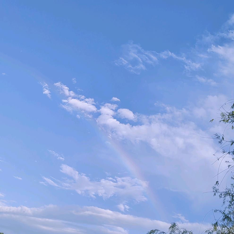 ୧⍤⃝𝟶°ˊ˗