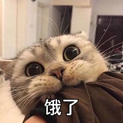 lonely丶