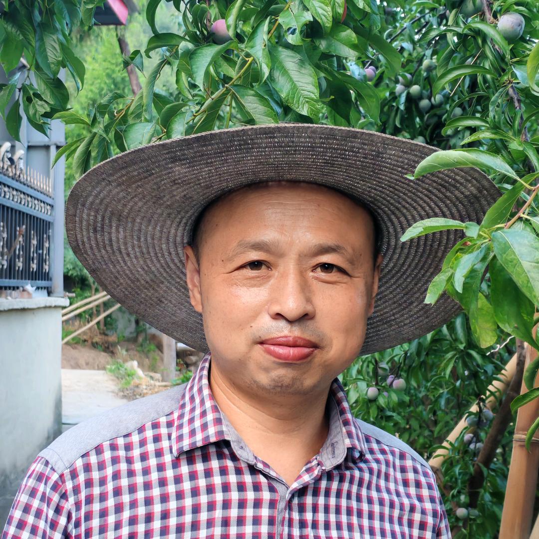 波哥1314