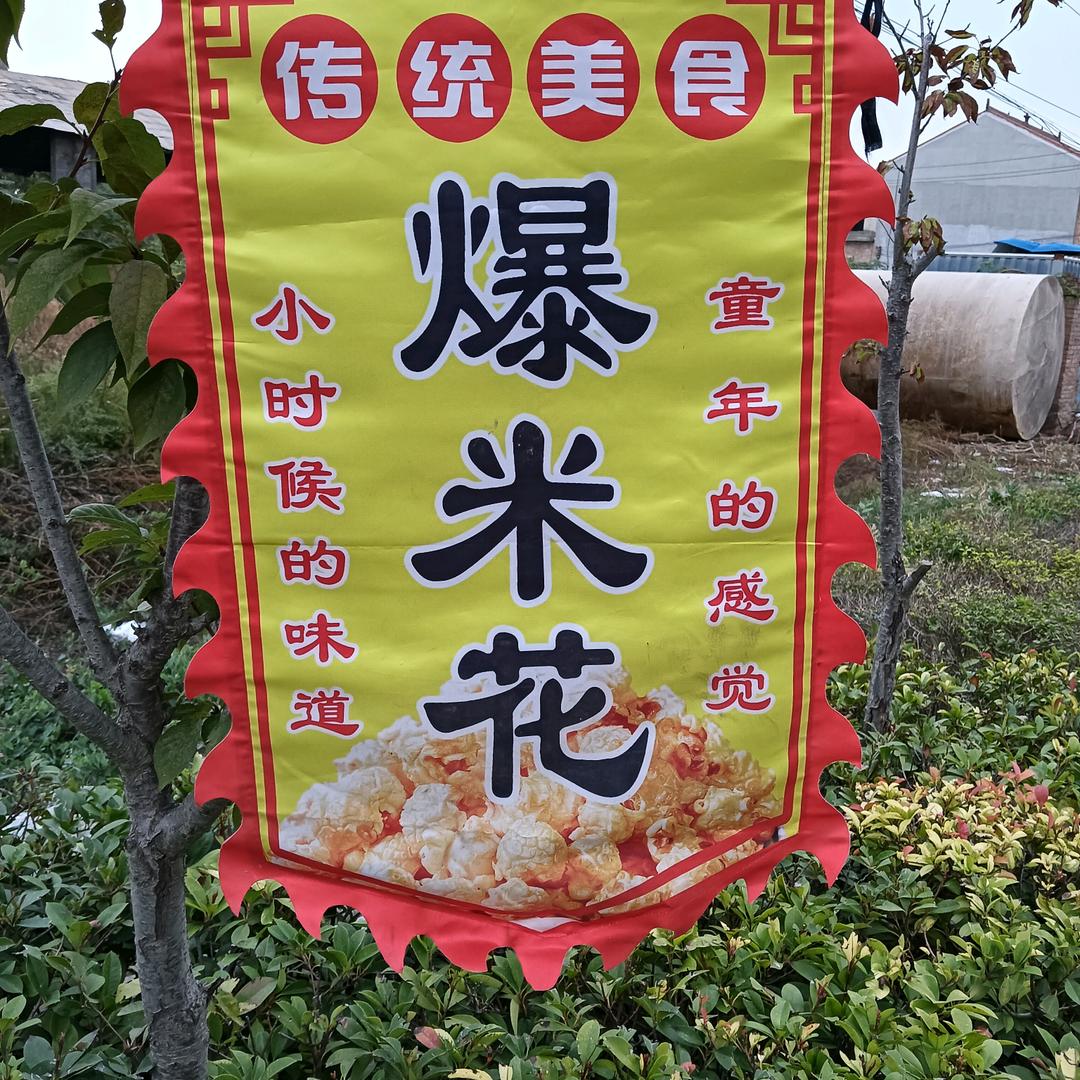 闻喜  米花张
