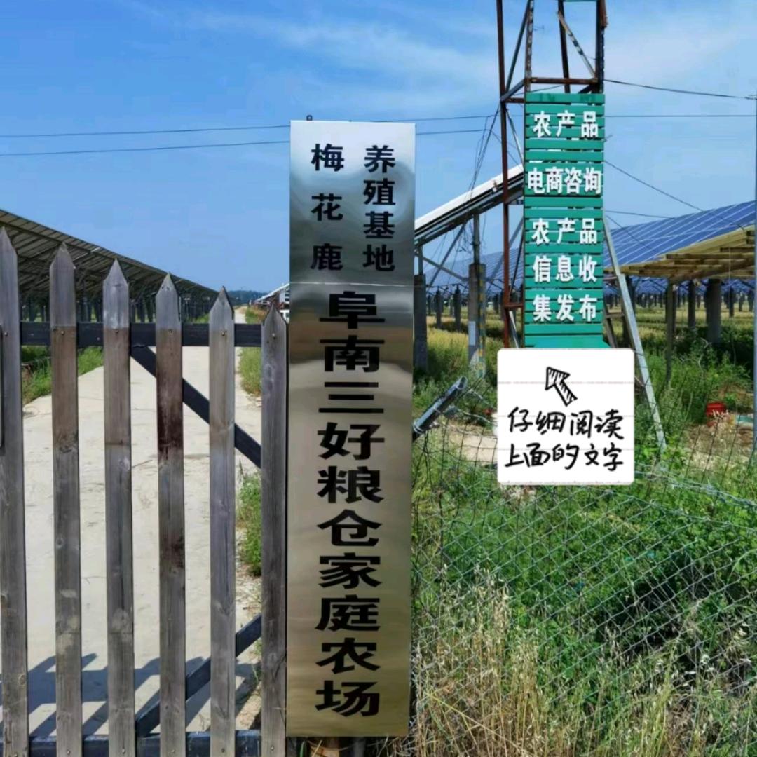 三好粮仓家庭农场🦌生态散养🐓🦆🐐