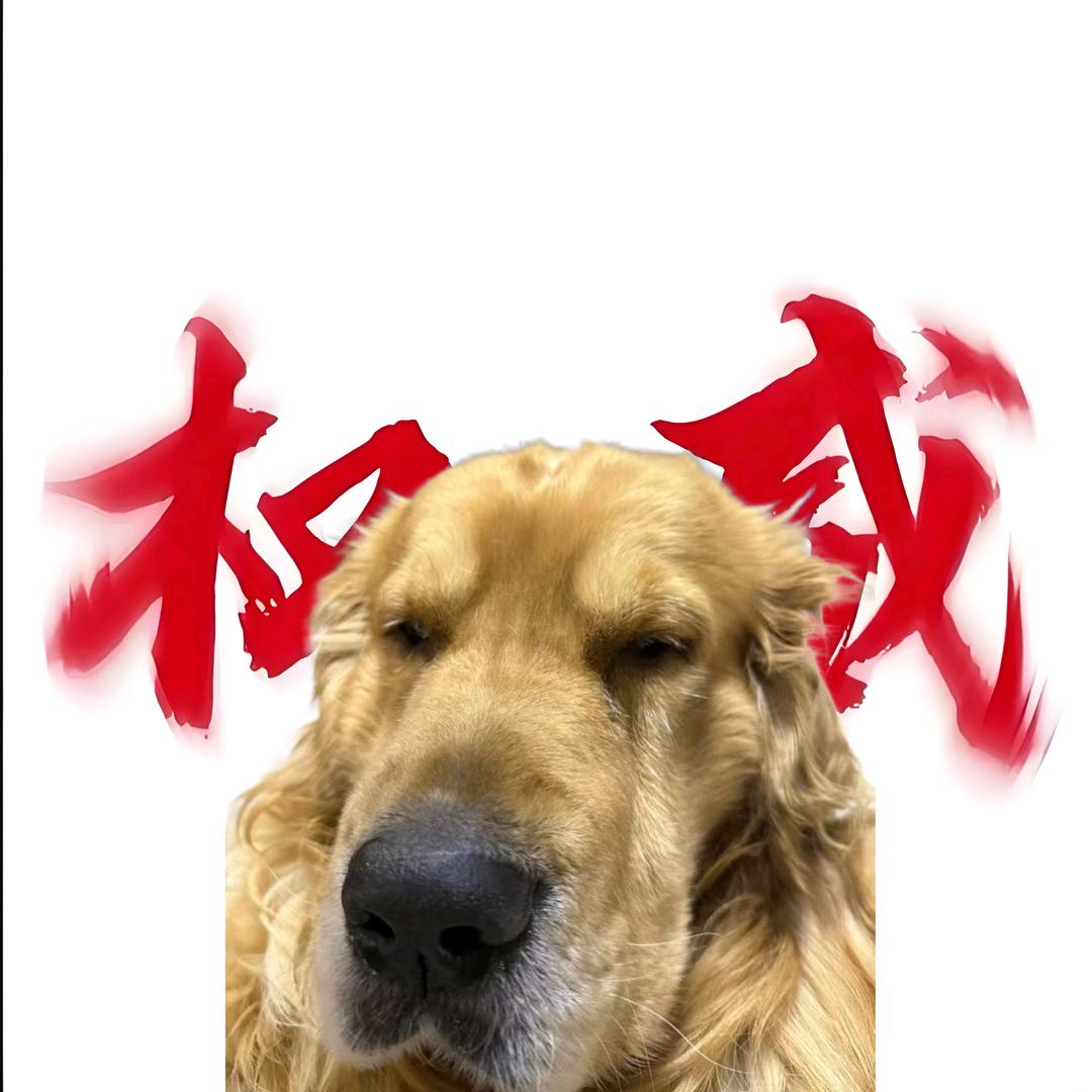 暖阳不爱7香菜🍟
