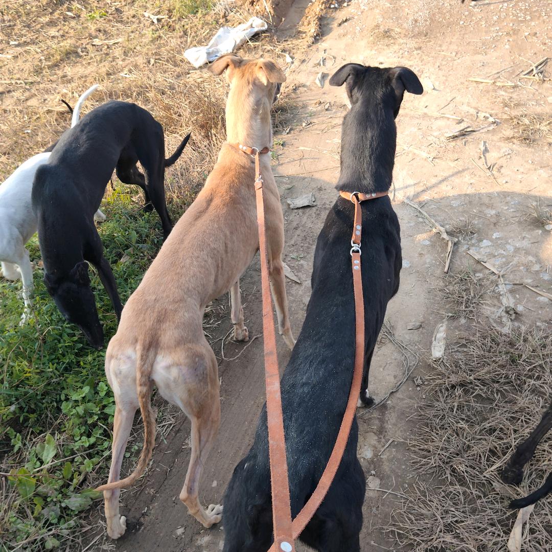 瑞🧗‍♂️🍂