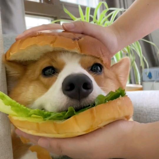 777