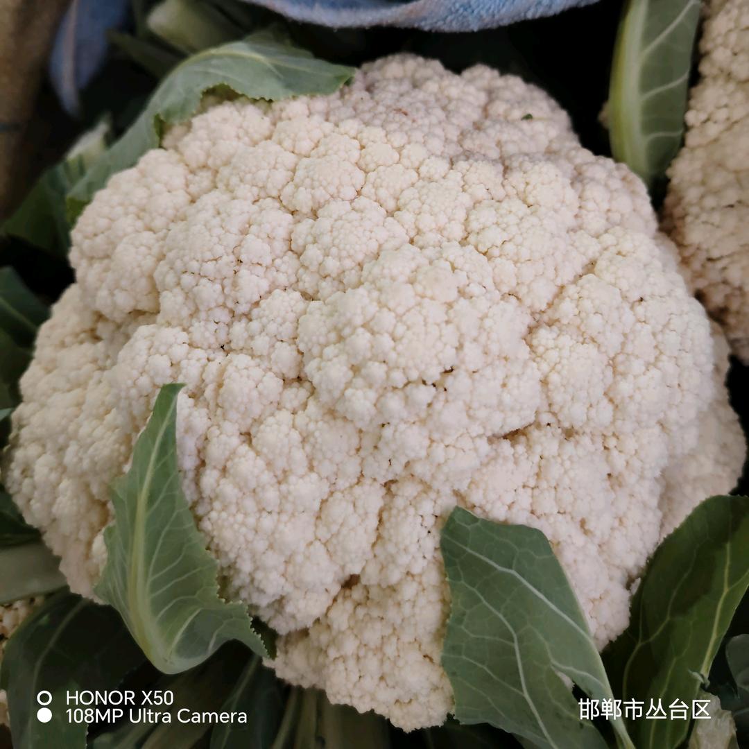 建仁蔬菜代办