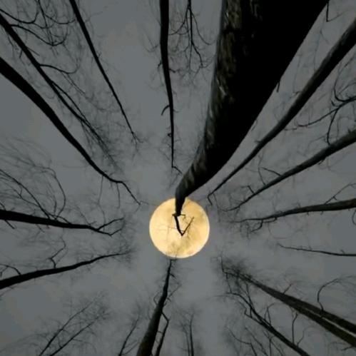 埔朗