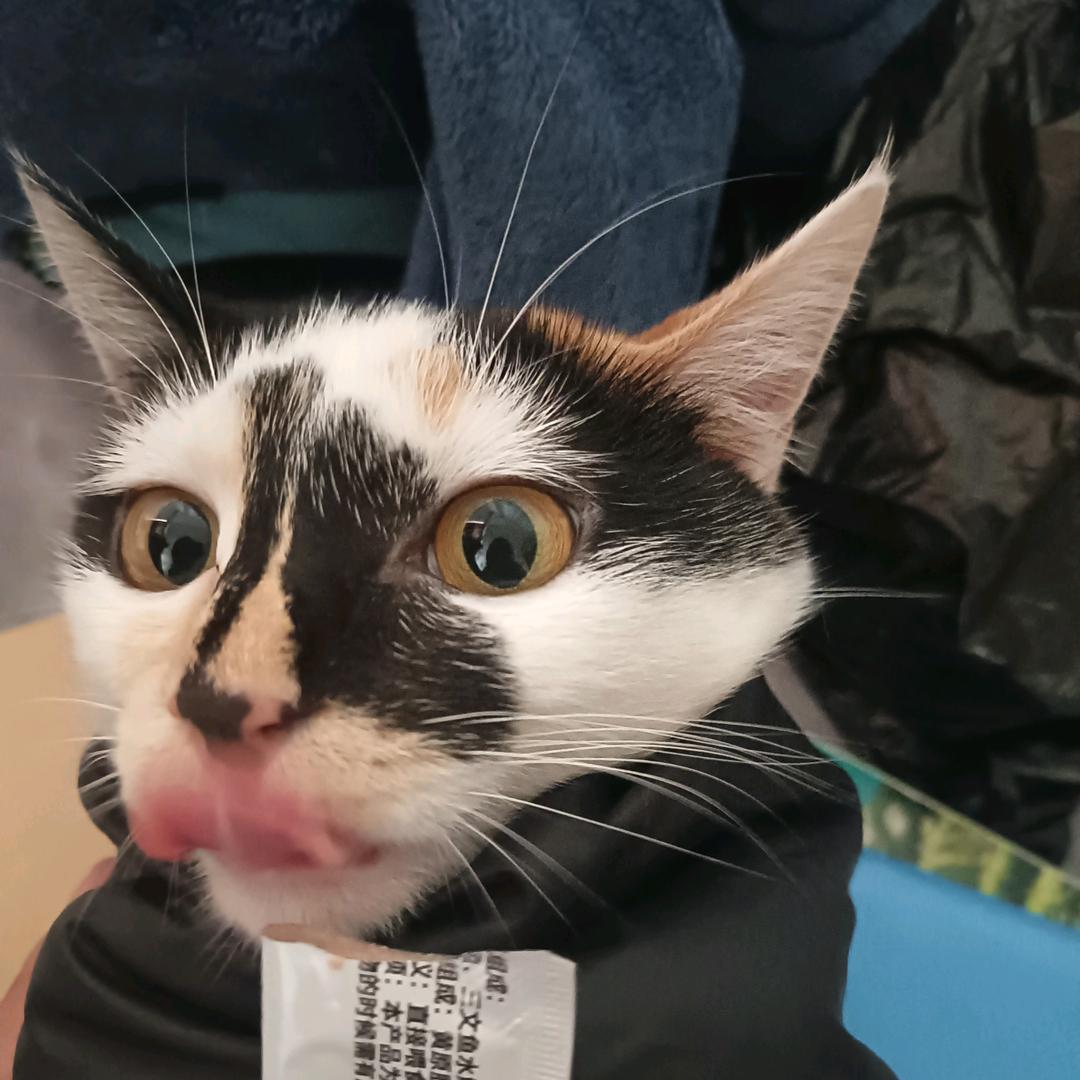k.