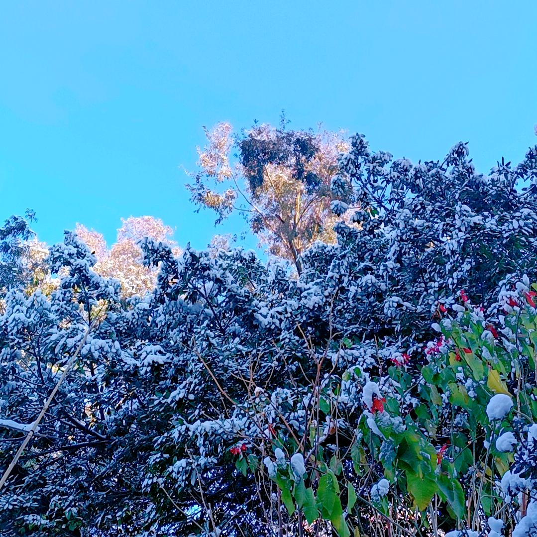 🌈彩虹🌈🌈🌈🌈