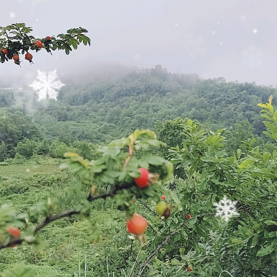 @   羽涅古🤗方