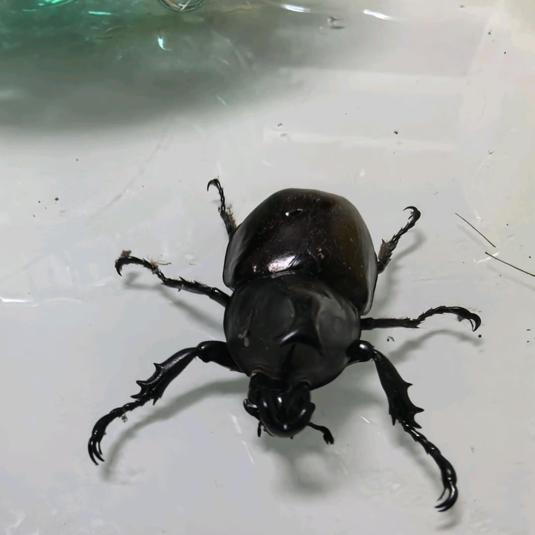 此生无悔