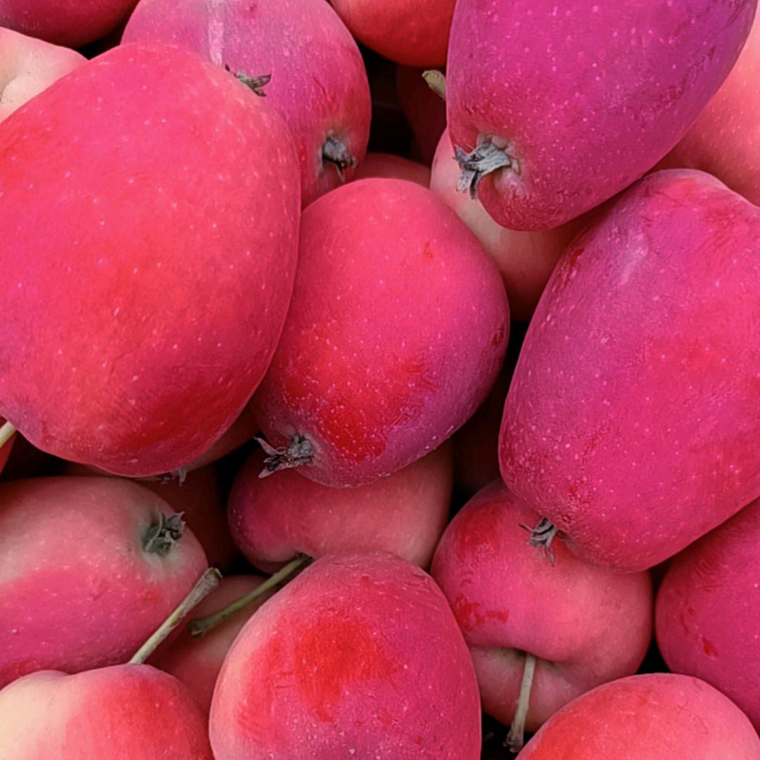 从心💚💚开始