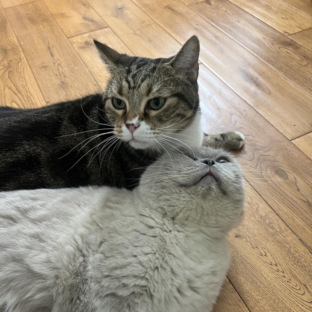 陈陈的生活日记