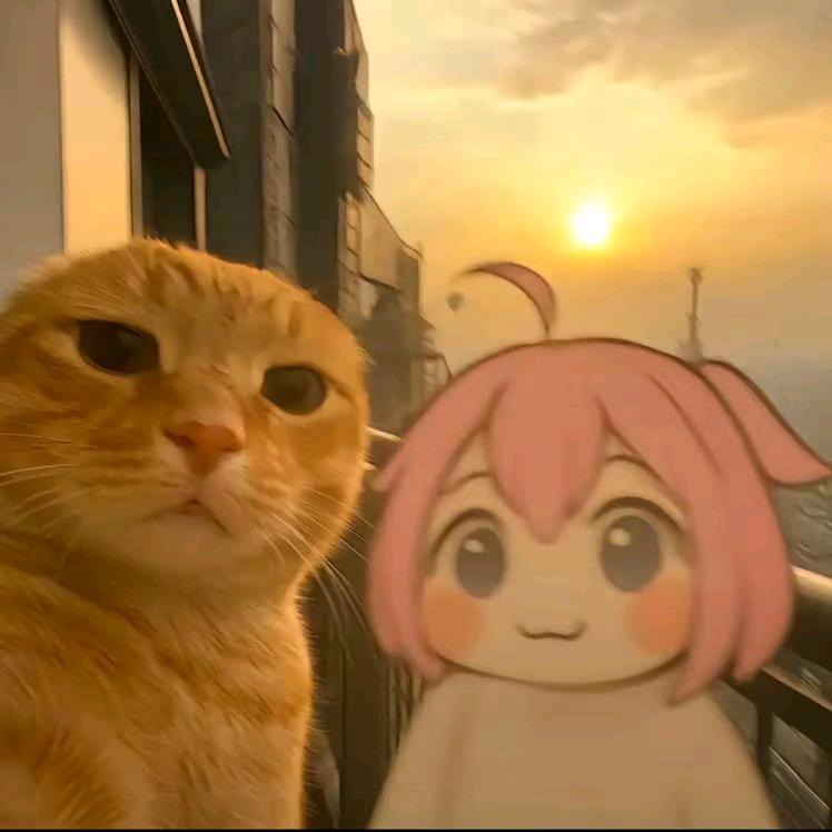 惜