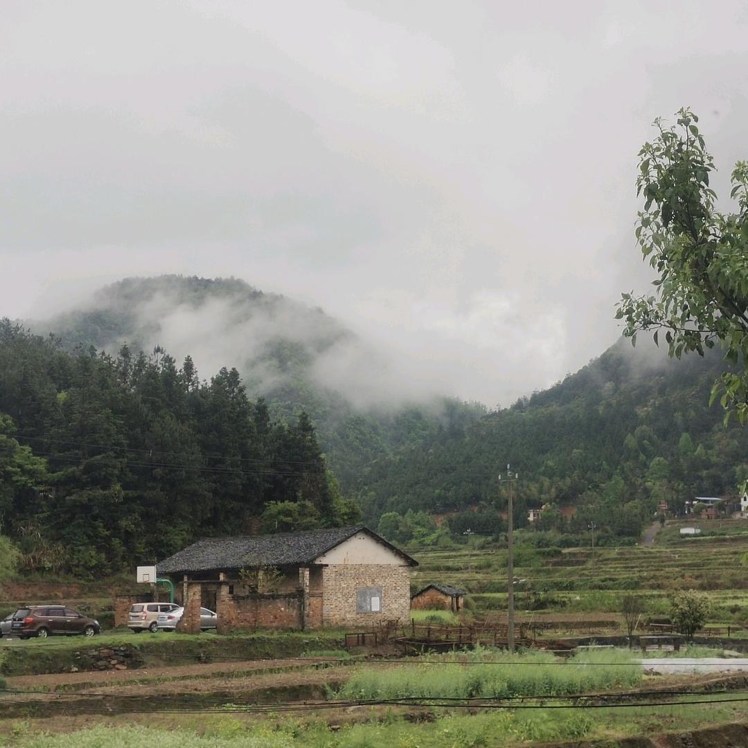 小李不吃番茄