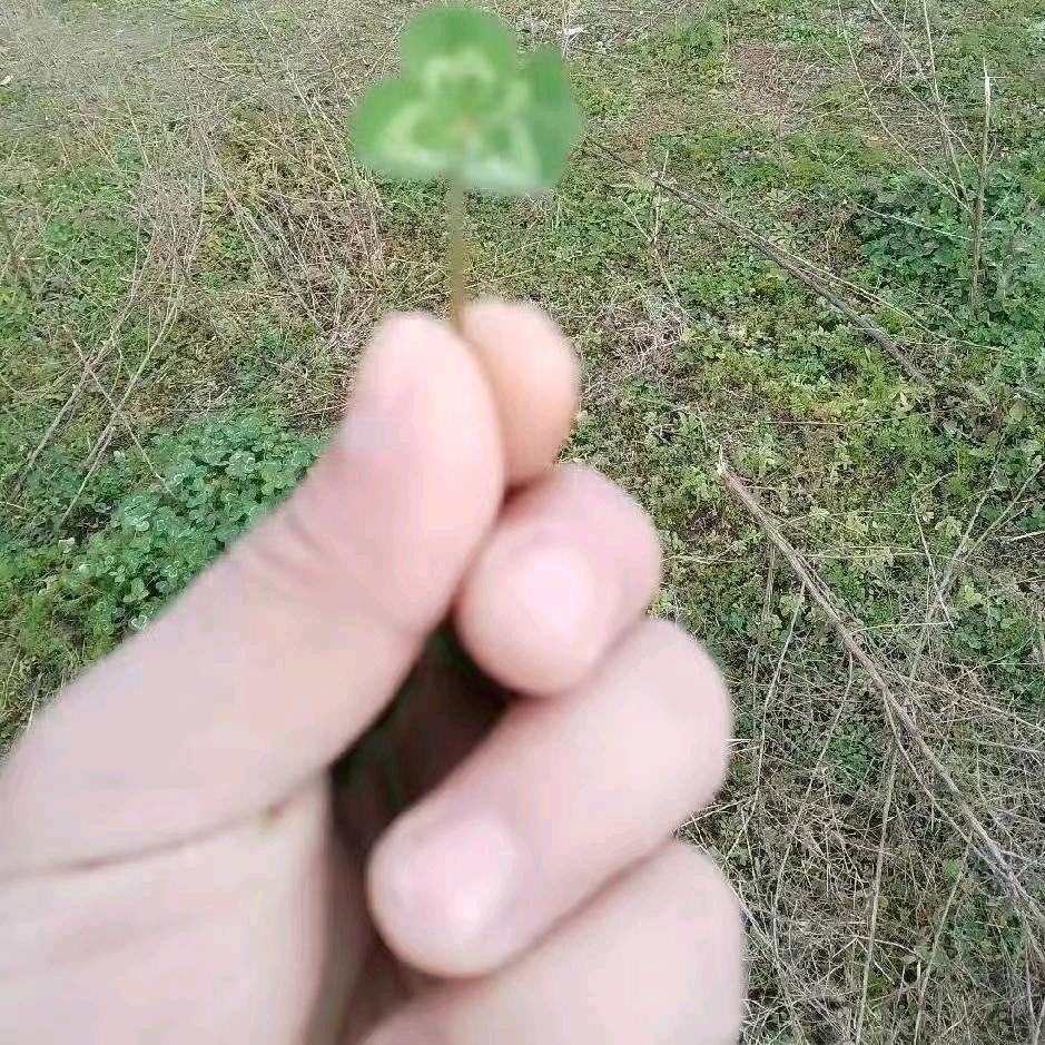 我的梦