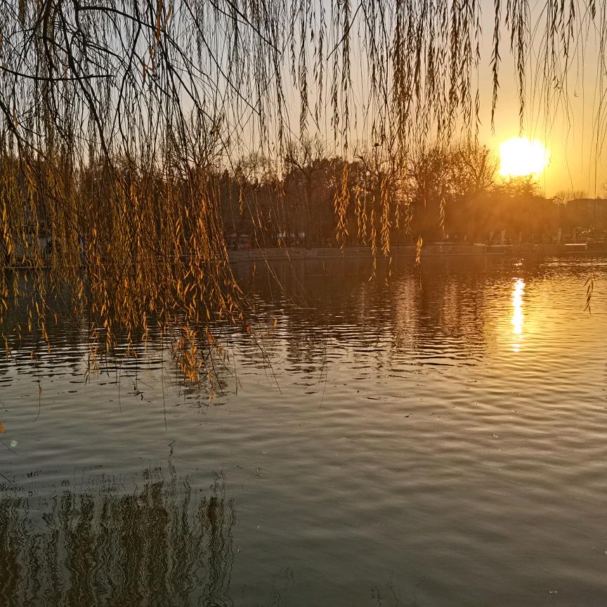 李什么李