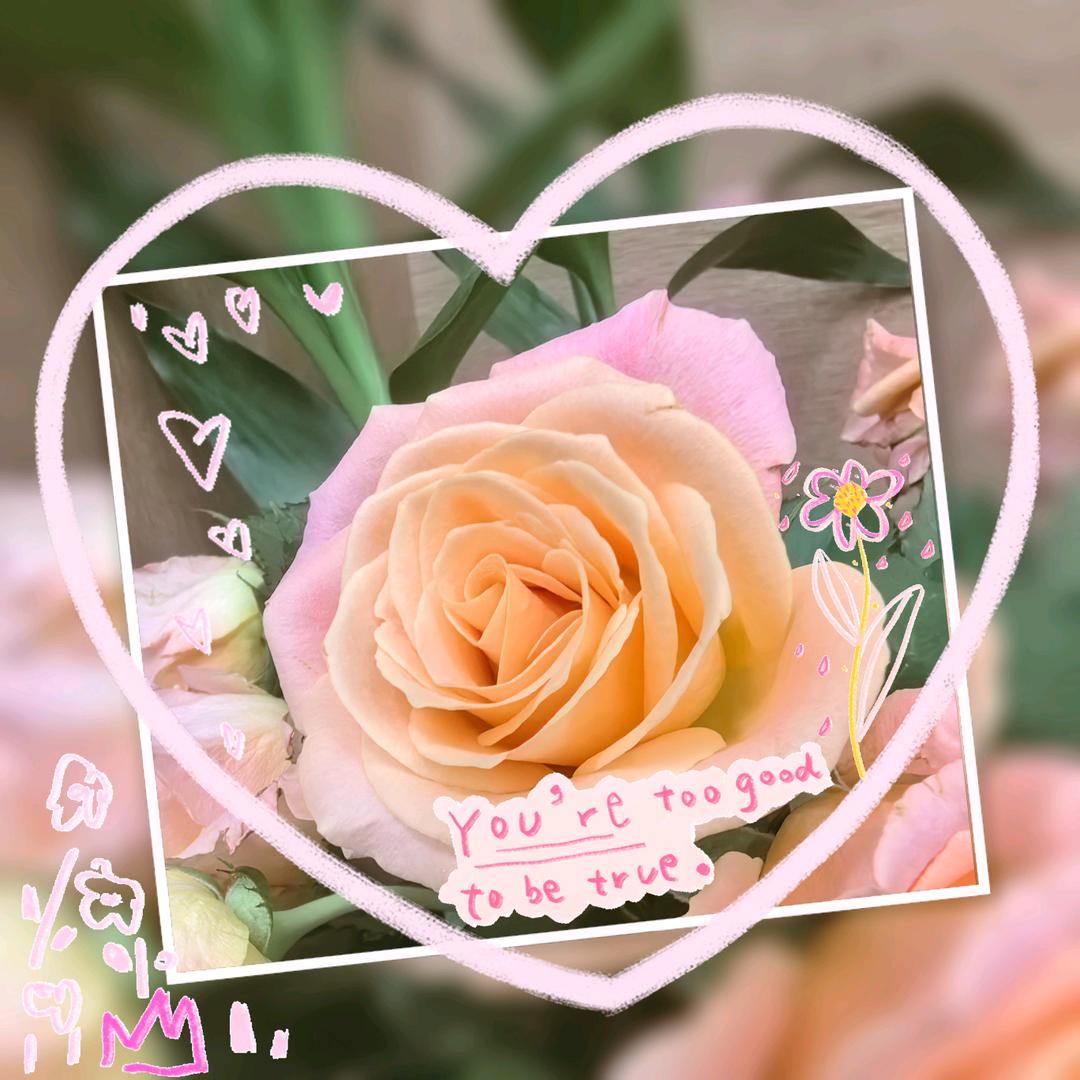 天鹅～花艺物语