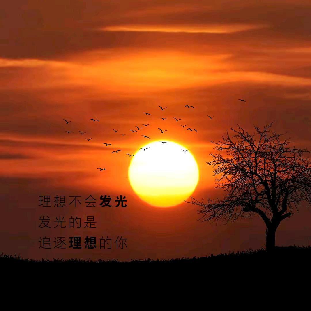仰望星空