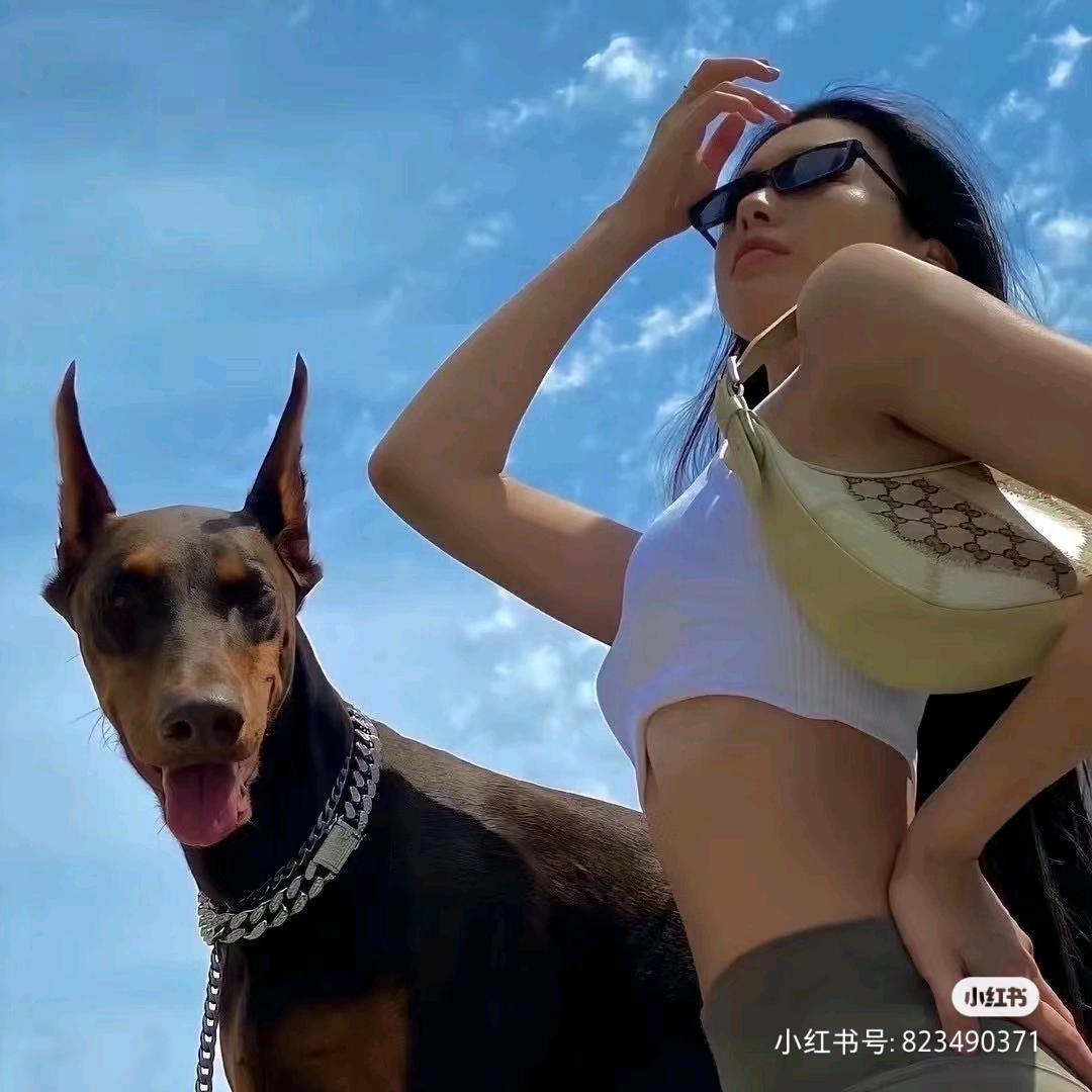 骑猪追太阳🌞