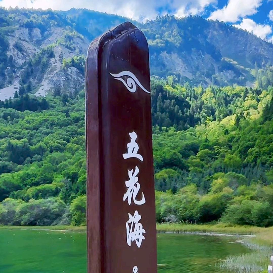 一生🈶你