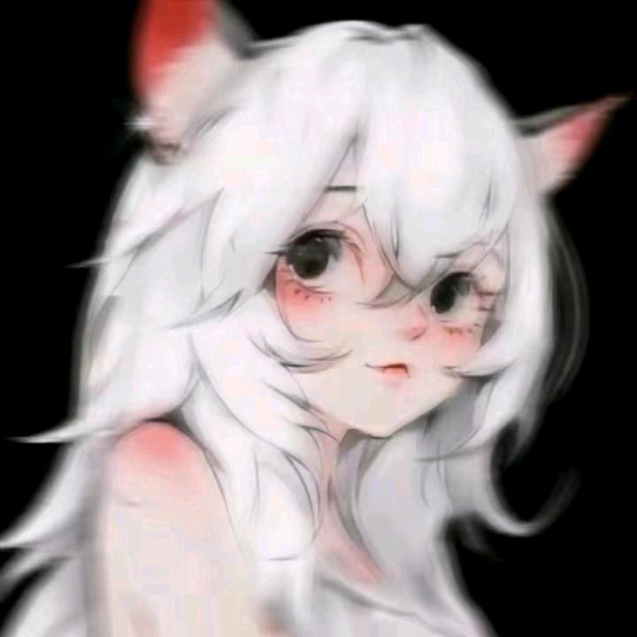 猫九而已