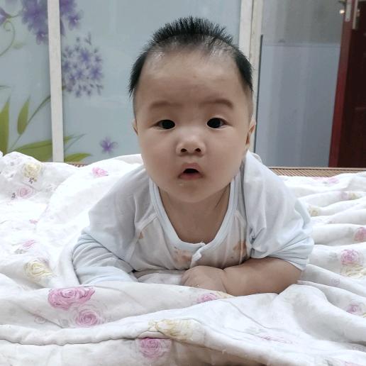 送君千礼，终需一鳖（尚品阁）