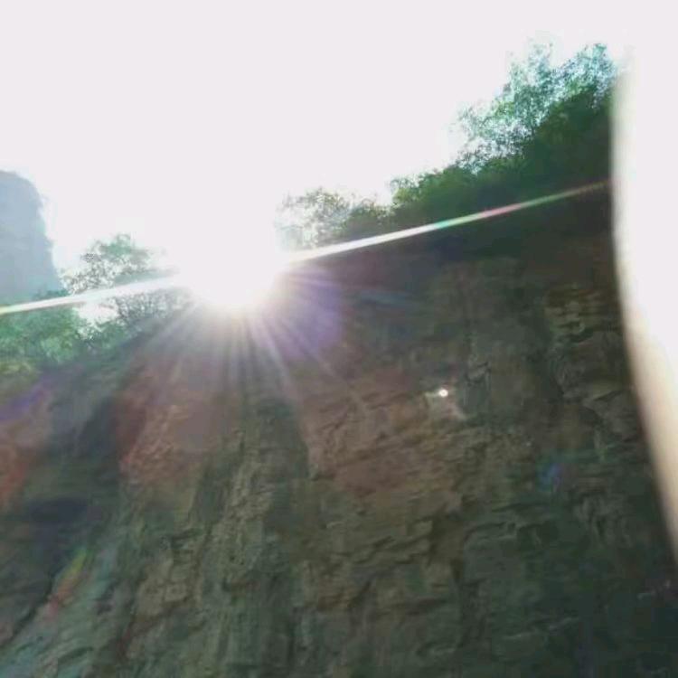 阳光行