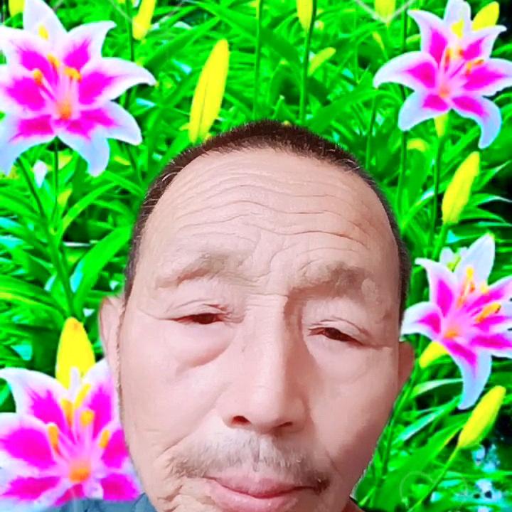 老白(≧∇≦)/