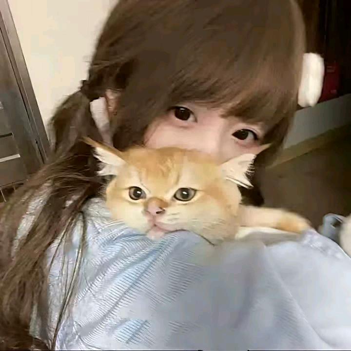 ^软软^