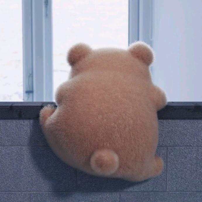 灰考拉旅行家