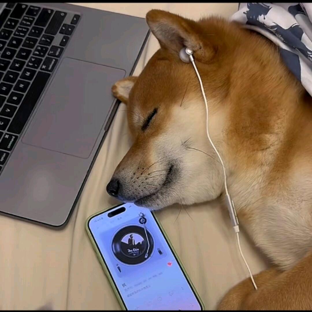 把爱藏进乌托邦