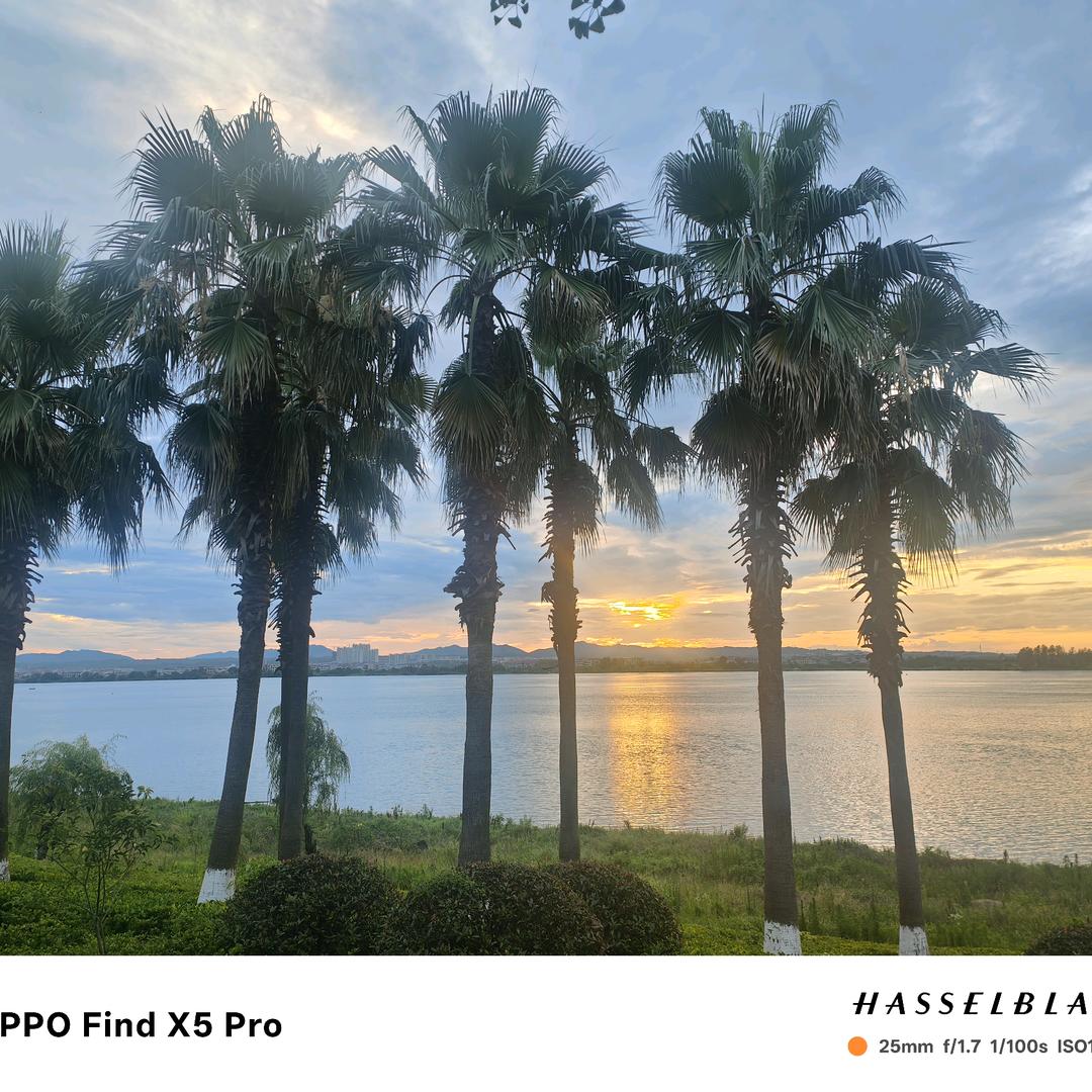 心若在，梦就在