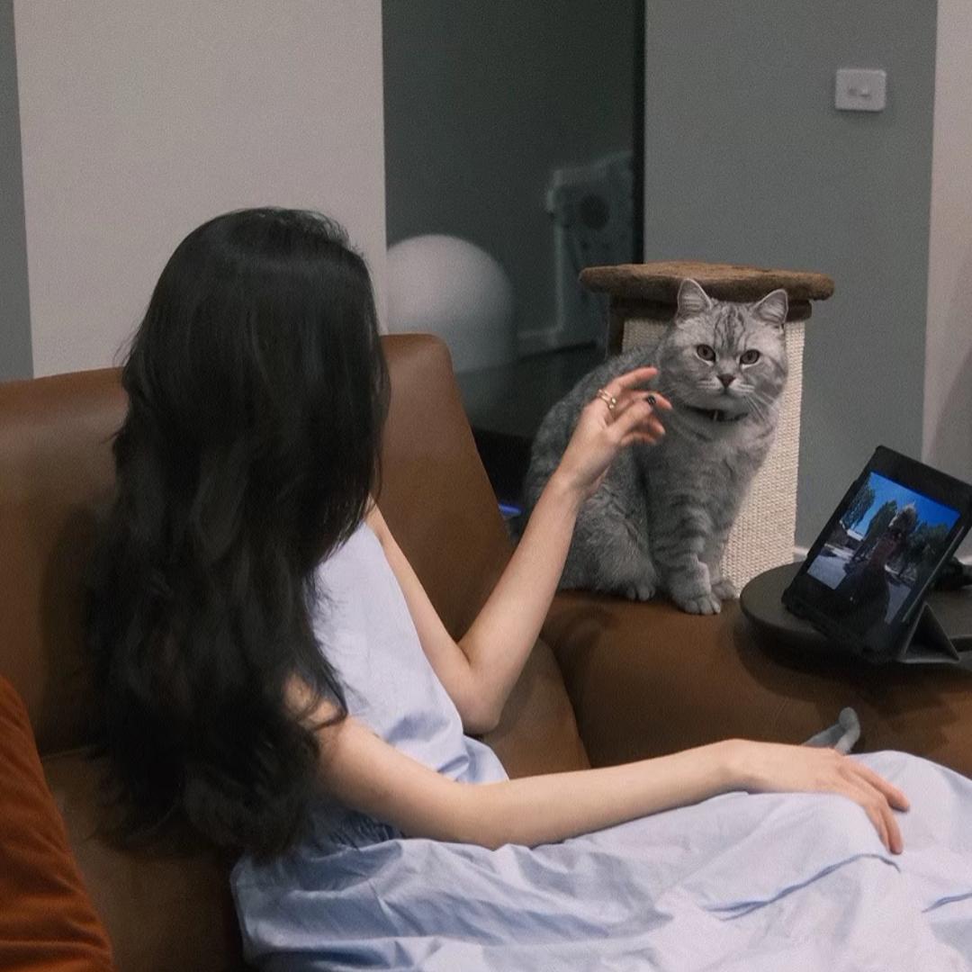 而已.