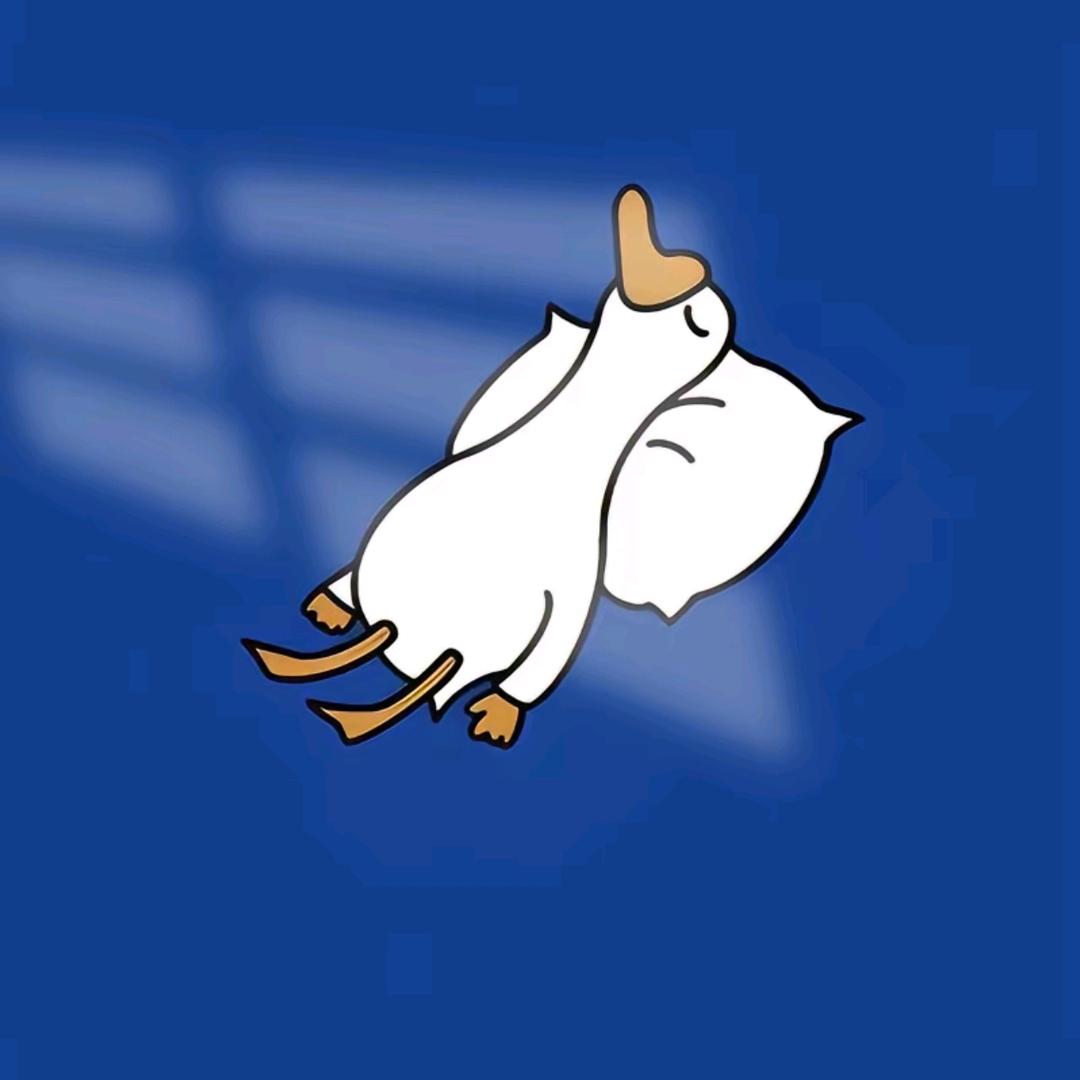 小飞鱼
