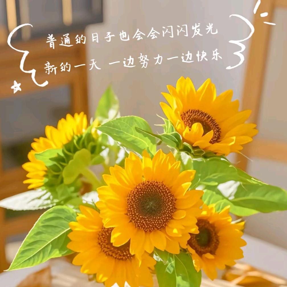 曾晓